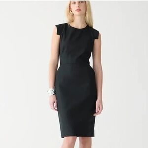 J.Crew Resume Dress